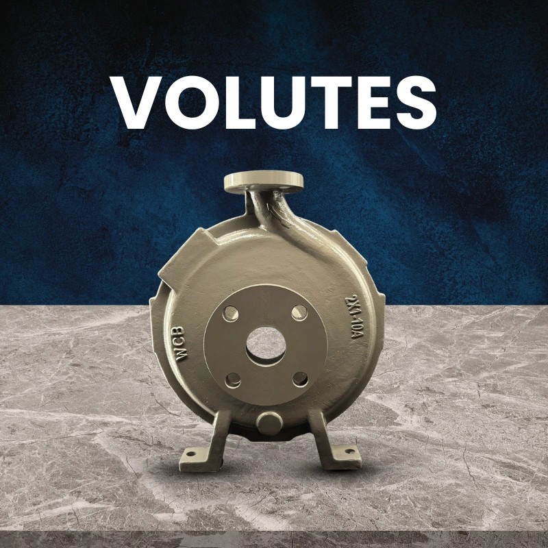 Volutes
